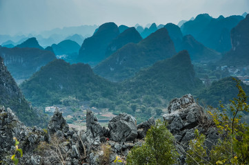 我的粉掌有什么病呢？