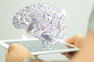 上海花卉博览会展园介绍