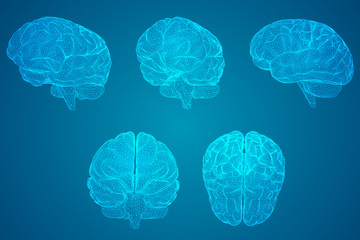 微课形式有哪些【微课的定义.形式和基本录制要求】