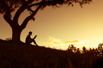 土壤分析的分类