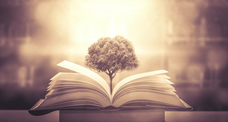 中国河南省有多少种毒蛇？