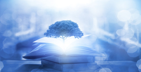 养生保健小知识整理