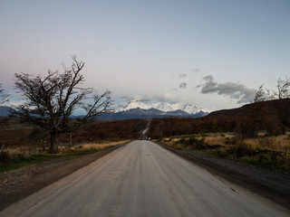 我的粉掌有什么病呢？