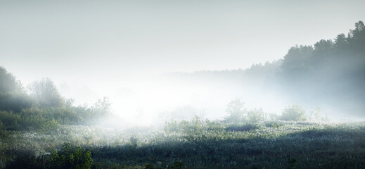 德的意思是什么