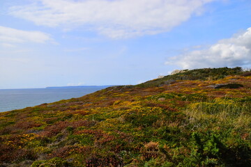 关于文房四宝的古诗