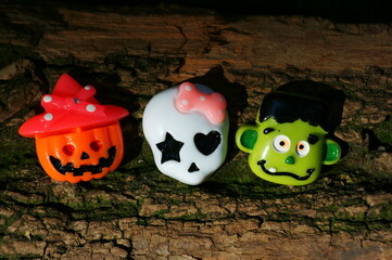 上海花卉博览会展园介绍