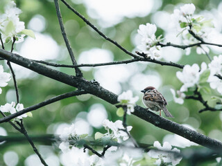 足球精神的金句