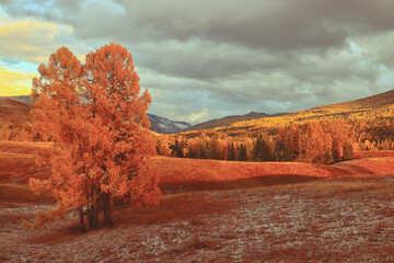 社区居委会依据国家法律法规和政策