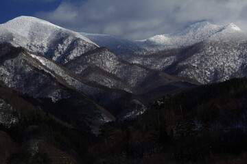 上海花卉博览会展园介绍