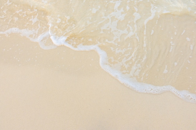 少儿百科知识大全选择题及答案