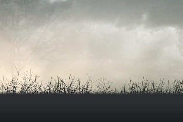 小学四年级奥数：年龄问题例题及讲解