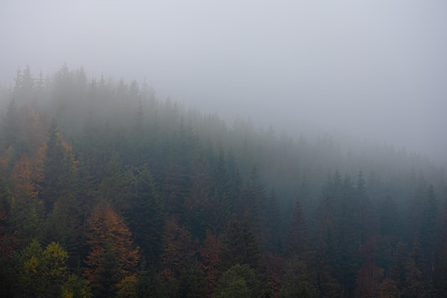 土壤分析的分类