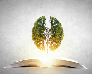 上海花卉博览会展园介绍