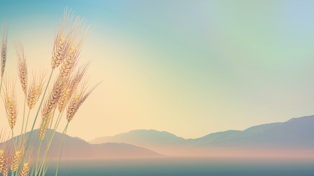 中国河南省有多少种毒蛇？