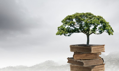 微课形式有哪些【微课的定义.形式和基本录制要求】