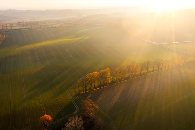 高瞻课程的优缺点