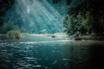 我的粉掌有什么病呢？