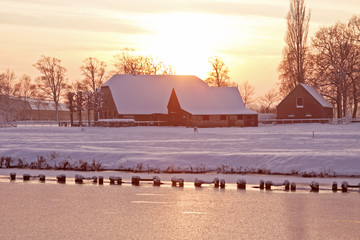 中国河南省有多少种毒蛇？