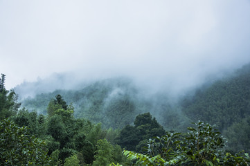 德的意思是什么